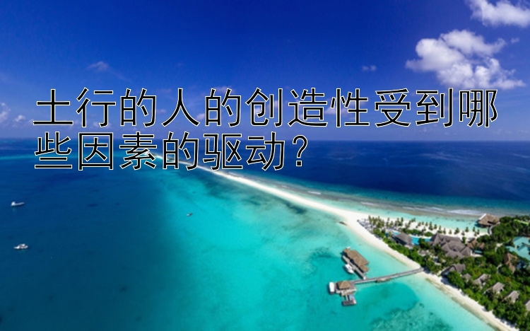 土行的人的创造性受到哪些因素的驱动？