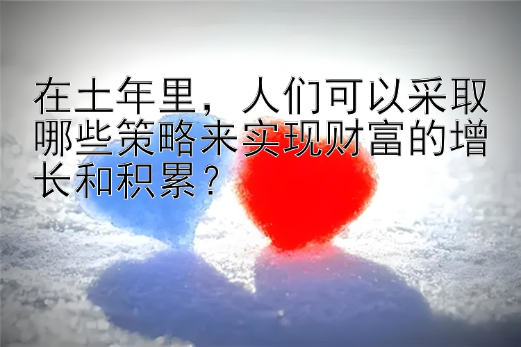 在土年里，人们可以采取哪些策略来实现财富的增长和积累？