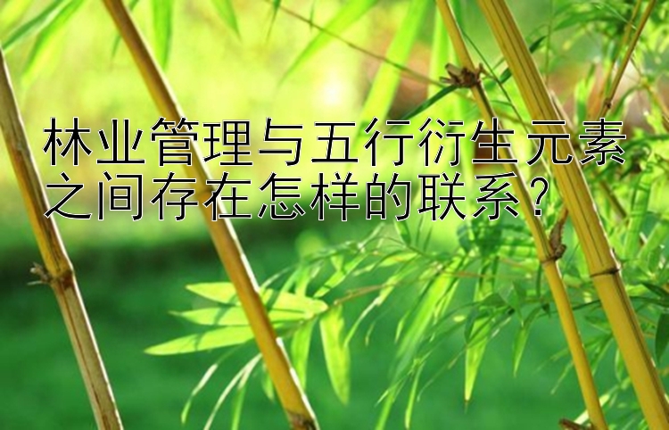 林业管理与五行衍生元素之间存在怎样的联系？