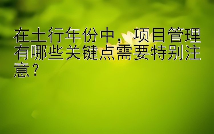 在土行年份中，项目管理有哪些关键点需要特别注意？